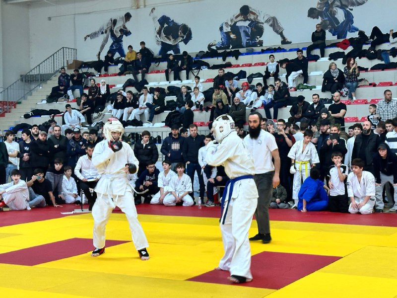 В Нальчике прошли республиканские соревнования по всестилевому карате В Нальчике прошли республиканские соревнования по всестилевому карате