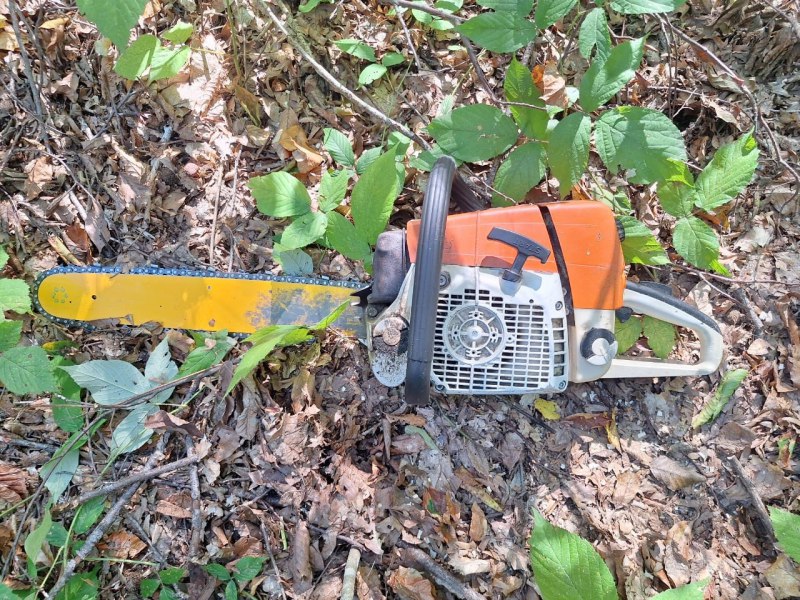 В Кабардино-Балкарии в суд направлено уголовное дело в отношении четверых жителей с.Аргудан, которые обвиняются в незаконной рубке лесных насаждений В Кабардино-Балкарии в суд направлено уголовное дело в отношении четверых жителей с.Аргудан, которые обвиняются в незаконной рубке лесных насаждений