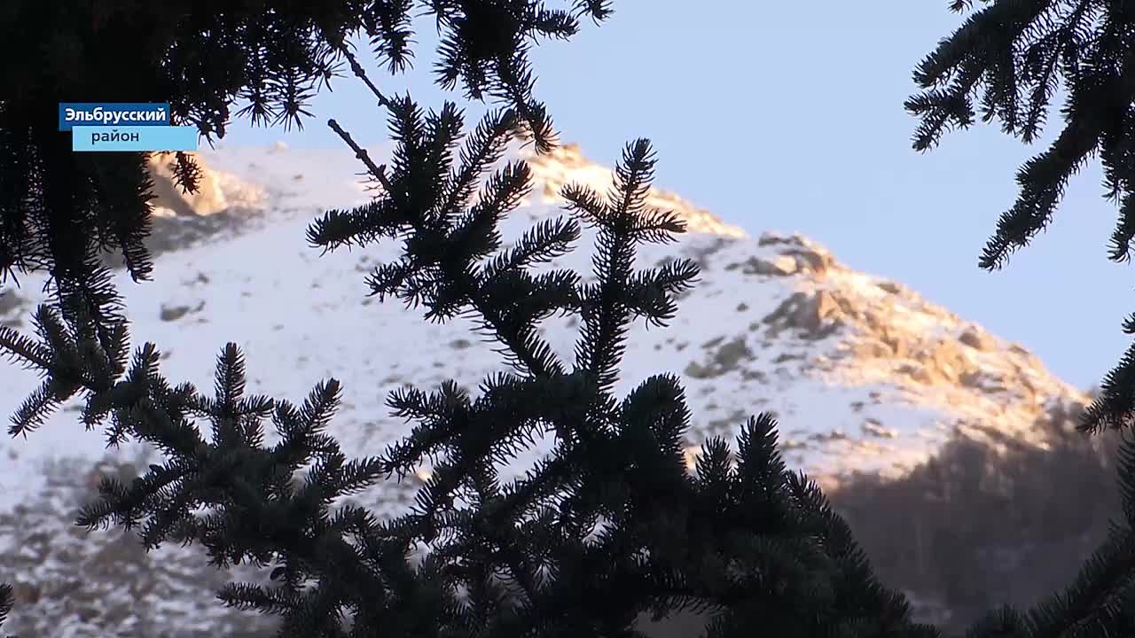 В Тегенекли завершился молодежный форум «Диалог культур»