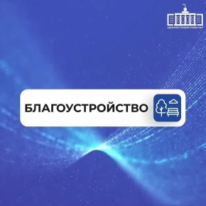 Столицу Кабардино-Балкарии украсили более 700 новых деревьев