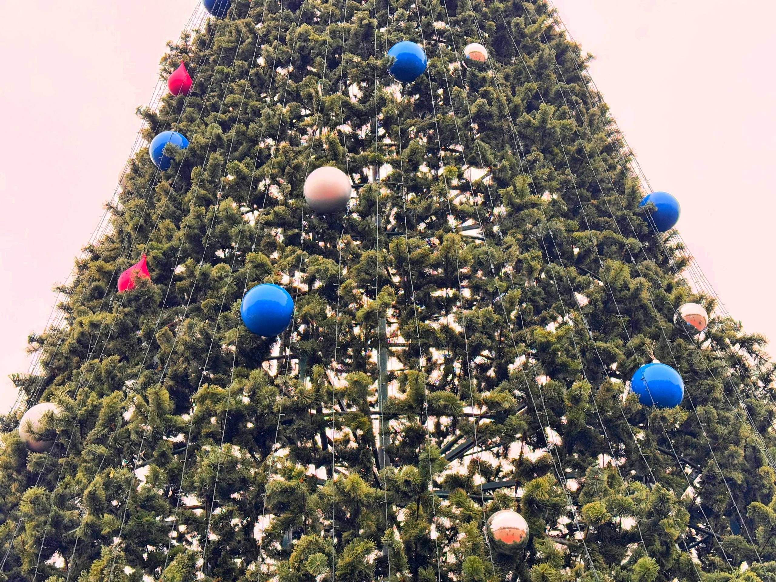 1234 Праздник к нам приходит… В Нальчике перед зданием Дома правительства украшают одну из главных символов Нового года — ёлку 1234 Праздник к нам приходит… В Нальчике перед зданием Дома правительства украшают одну из главных символов Нового года — ёлку