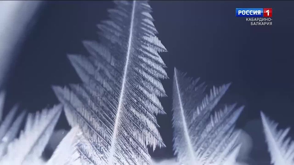 �� ������� � ���� ������� ����������