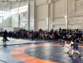 В Нальчике прошел межрегиональный турнир по вольной борьбе