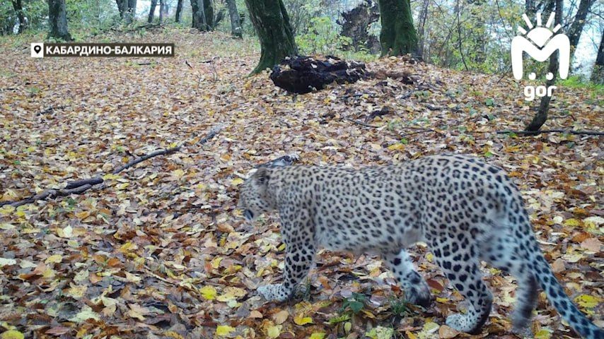 � ����� ���� ������� ��������� ������� � ������������, ��� ������������ � ����� ������� ����������� �����