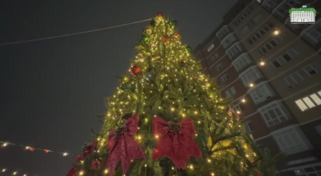 На Каштановой аллее состоялось новогоднее представление