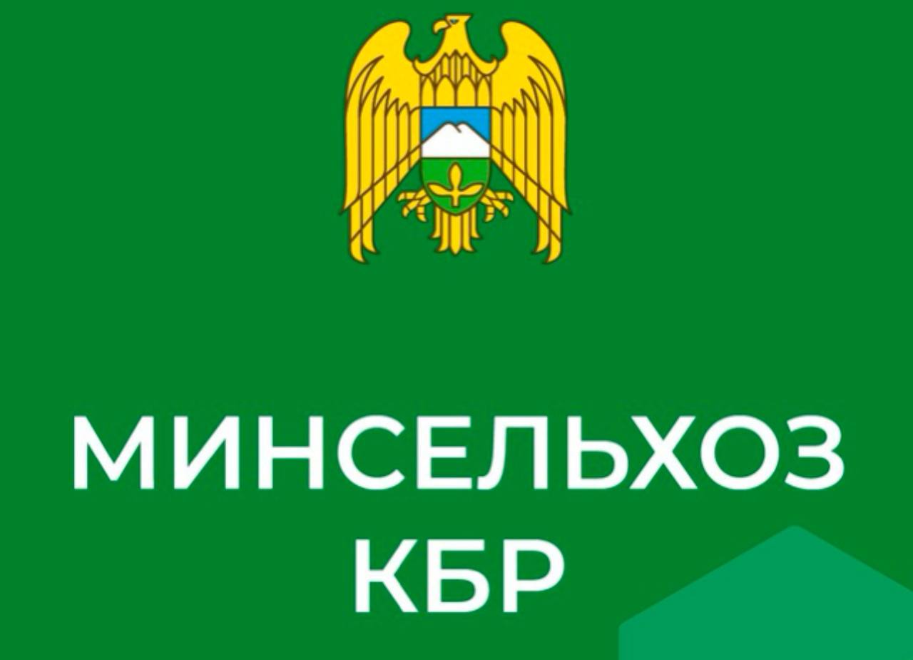 Мастер-класс от титулованных спортсменов Мастер-класс от титулованных спортсменов