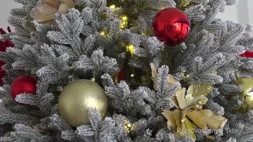 ���������� ����� ���������� ������ ���������� ���������� ��������