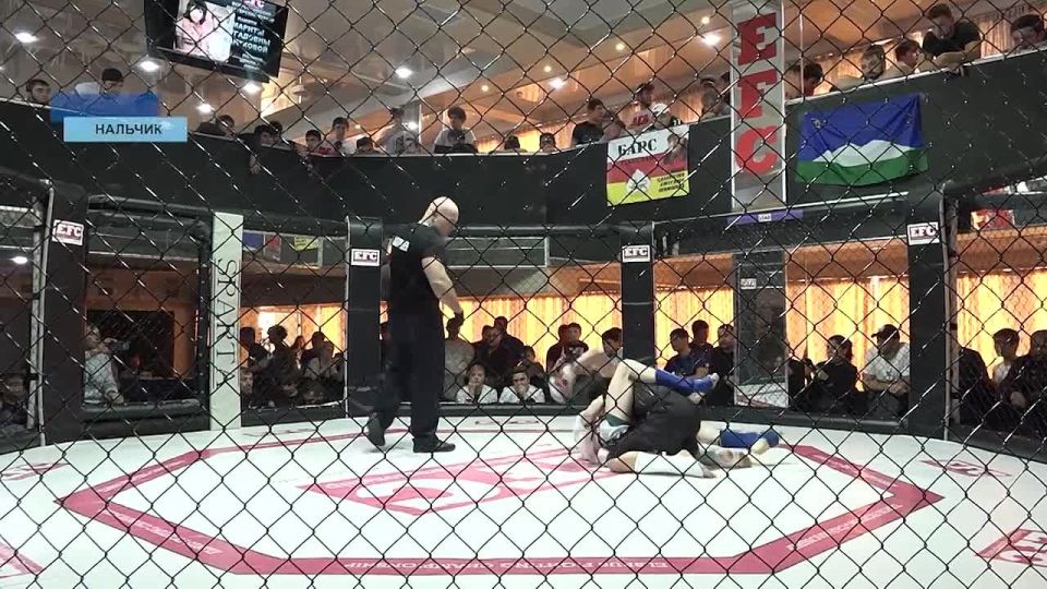 � �������� ������ ������������� ���������� ������ ���� EFC �� ���������� ���������������� ������������, ����������� ������ ��������� ��������� ������ ����������� �� ������ ���������