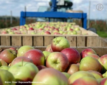 ���������-�������� ������� 1,1 ��� ���� ������ � ����