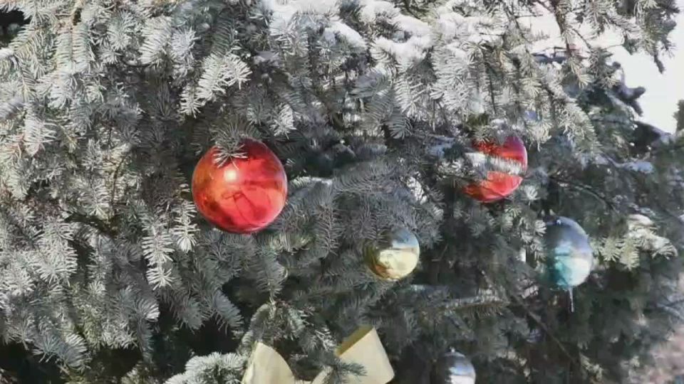 ���������� ������� ���������� � ���������: ������ �������� � ����� ���������� ���������������