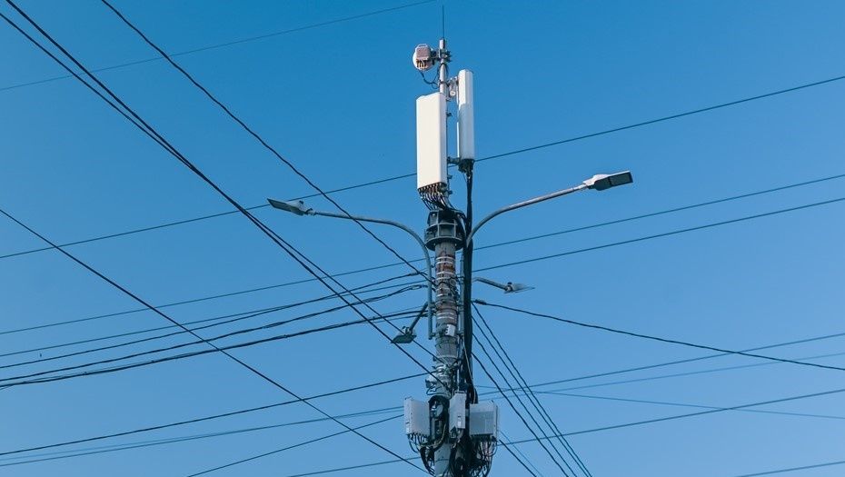 ����� ������� ���������� ���������� ���������: ��� ����� ���������?