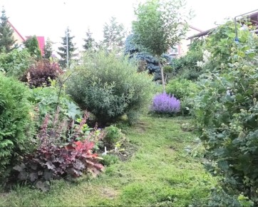 ��������� ���� � ���� - ��� ����