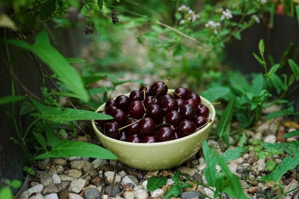 ������ ������ ��� ������� ��������: ��� �������� ������� � ����