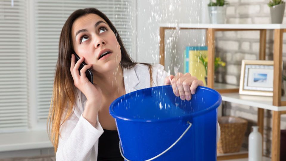 ��� �������� �� ����� ��������: �������� ������ � ������� � ����������� ���������