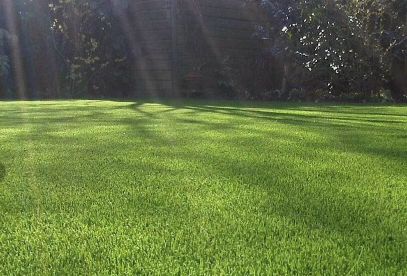 ����������� ��������� �� ������ � ���������: ��� ��������� ��������� �����