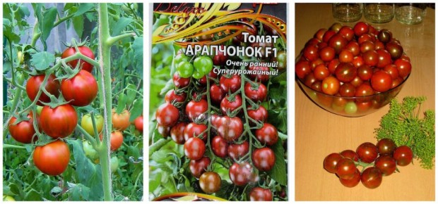 ������������ '���������' � ��������� ����� ��� ������ �������