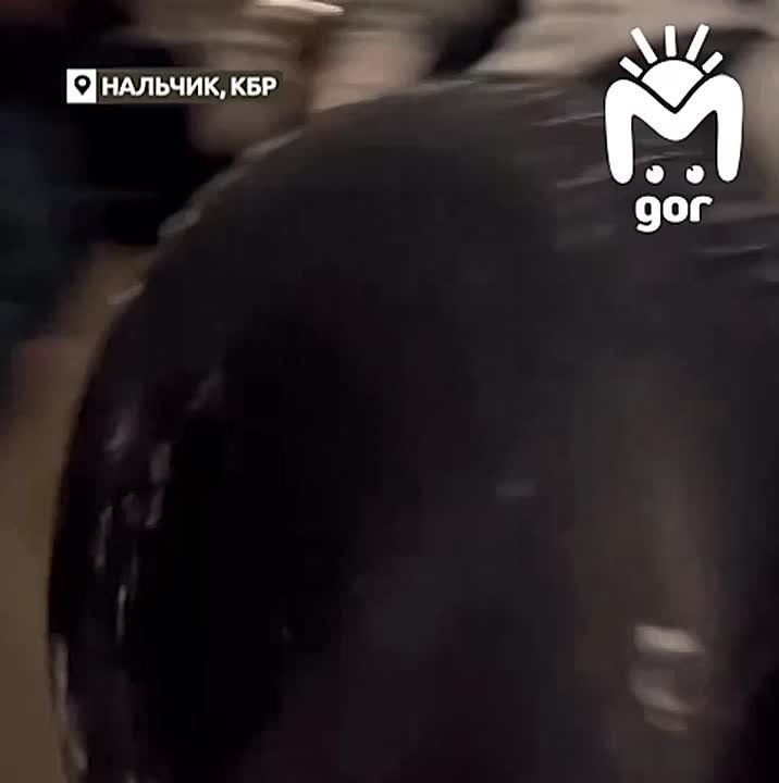 ��������� �� ����� �����, � �������� �� ��������: ���� � �������� ���� �������, ����� ��� �������� �� �����