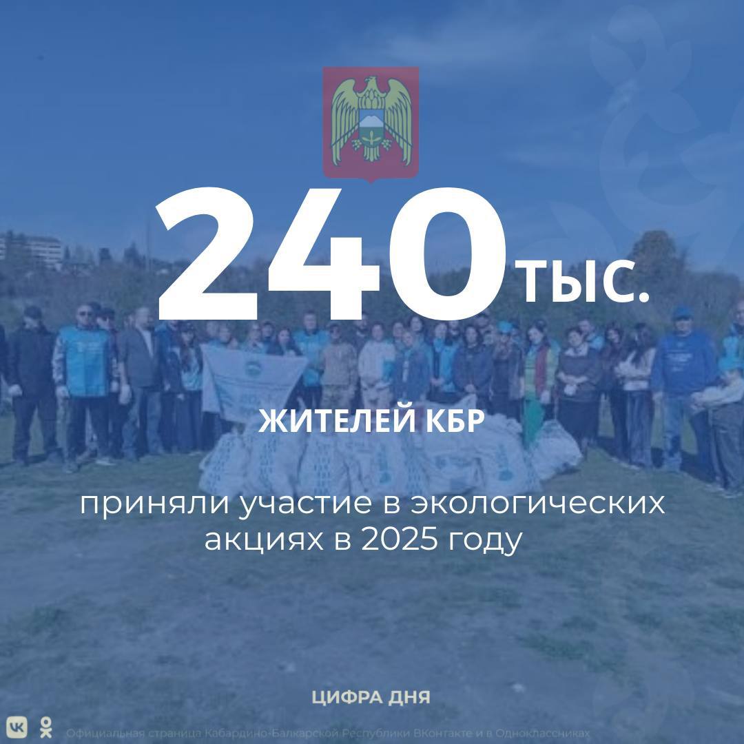 В течение всего года более 240 тысяч человек активно участвовали в экологических акциях, направленных на улучшение состояния окружающей среды