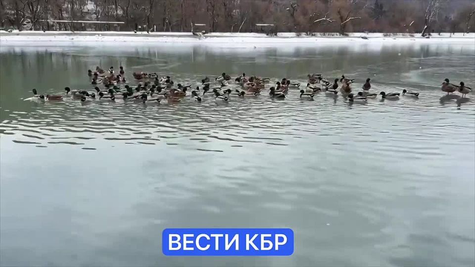 1234 ����� ���� ����� ������ �������� ��������� ���� � �� ����� �������