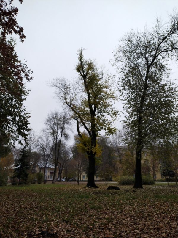 ��� ������ ����� ��������� � ����� ������� � �������: ������������� ������� ������