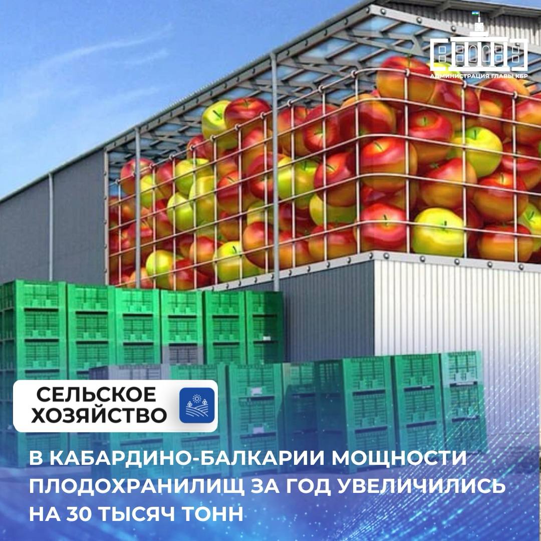 В Кабардино-Балкарии за истекший год суммарная мощность плодоовощехранилищ достигла 360 тысяч тонн единовременного хранения