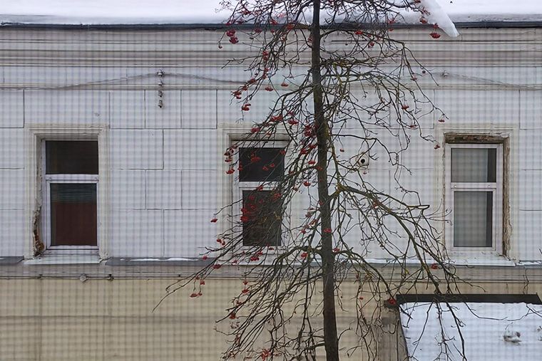 ��� �������� ���� ����� �� ��������� ����: ������������ �����������