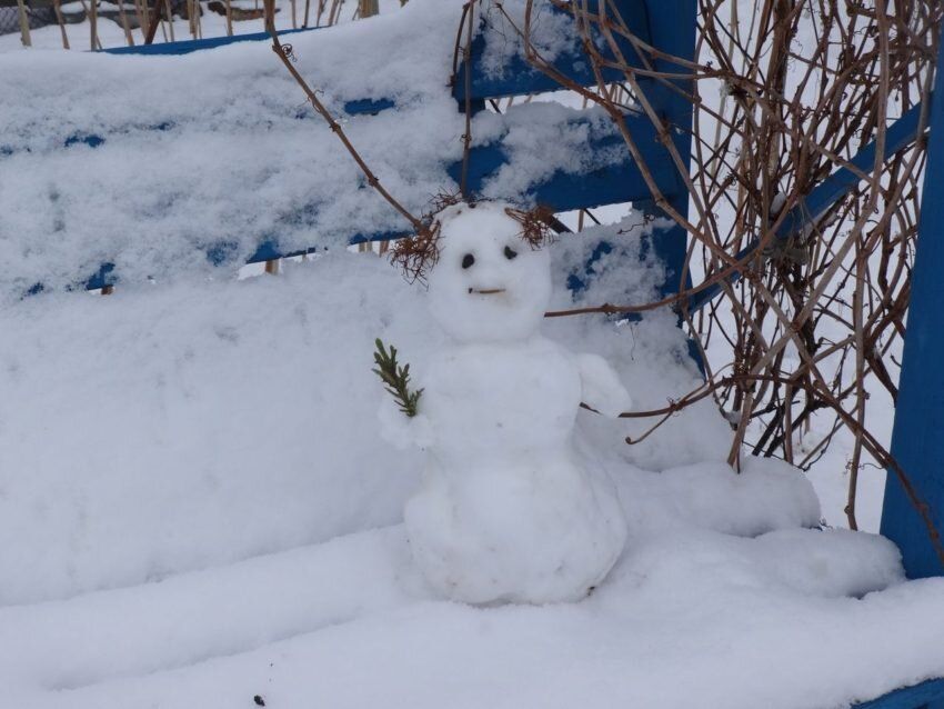 ��� ��������� �� �������� �����: �������, ������� ������� �� �������� ������