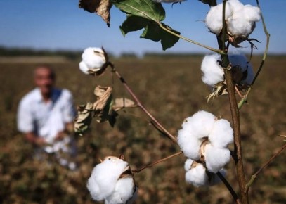 ����� ������� ������������ �������� ��������� �������� �����������