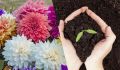 Весеннее волшебство: какие цветы пора сажать в марте и апреле