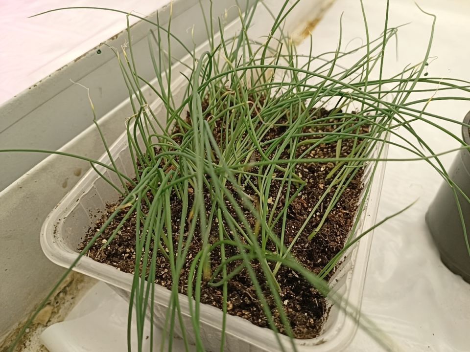 ���������� ��� �� �����: ��� ��������� ��������� ������ �� ���� �����