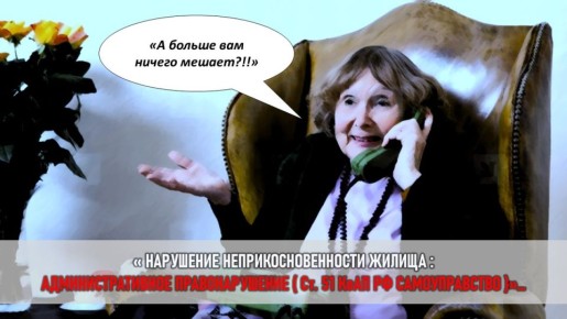 Как свекровь превратила съемную квартиру в продуктовый склад: смешные и печальные подробности