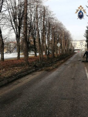 Следственным управлением организовано проведение доследственной проверки по информации о незаконной вырубке деревьев в Нальчике