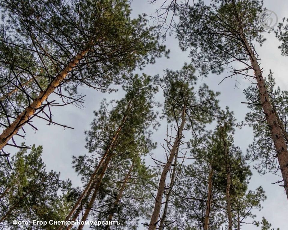 � 2025 ���� � ���������-�������� �������� ����� 125,7 ���