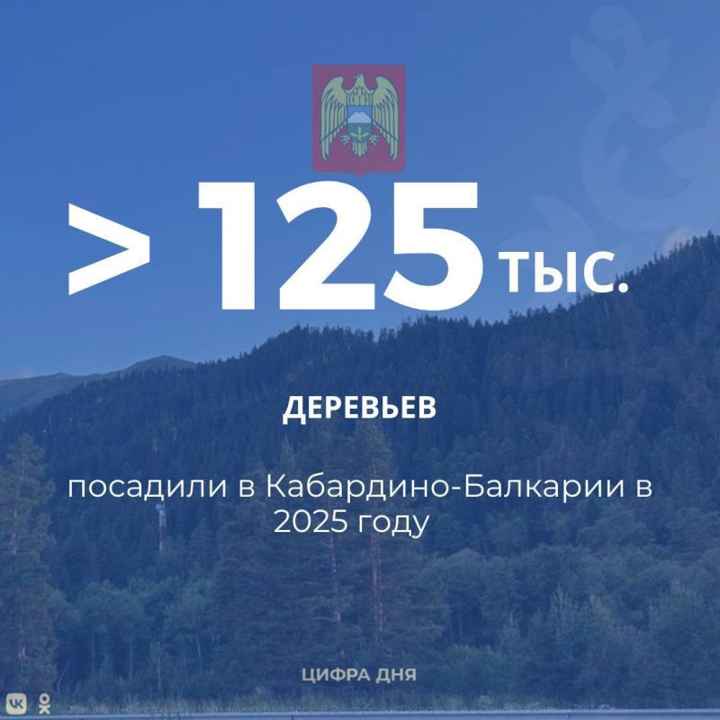 � 2025 ���� � ���������-�������� �������� 125730 �������� ������ ����� �� ������� 95,2 �������