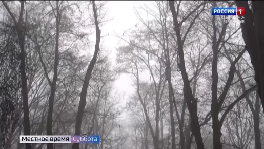 На республику опускается туман… О неблагоприятных явлениях в Кабардино-Балкарии предупреждает Гидрометцентр
