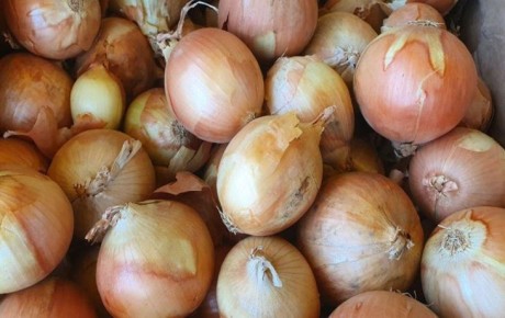 Выбрасываете луковую шелуху? Зря! 3 способа, о которых молчат даже бабушки