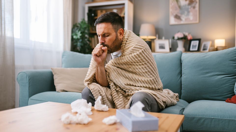 ��� ����������� � ������ ����� ������ �������� ������������ ���������� � 2026 ����