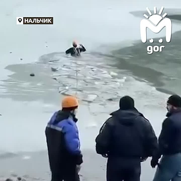 ������ ������ �� �������� ����� � ��������