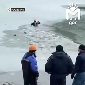 ������ ������ �� �������� ����� � ��������