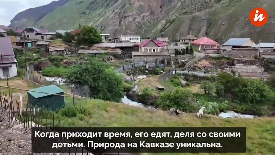 �������� ������ ���� ����� ������������� � ���������� ��������� � ��������� �� ���� � ����� �� ����� YouTube-������