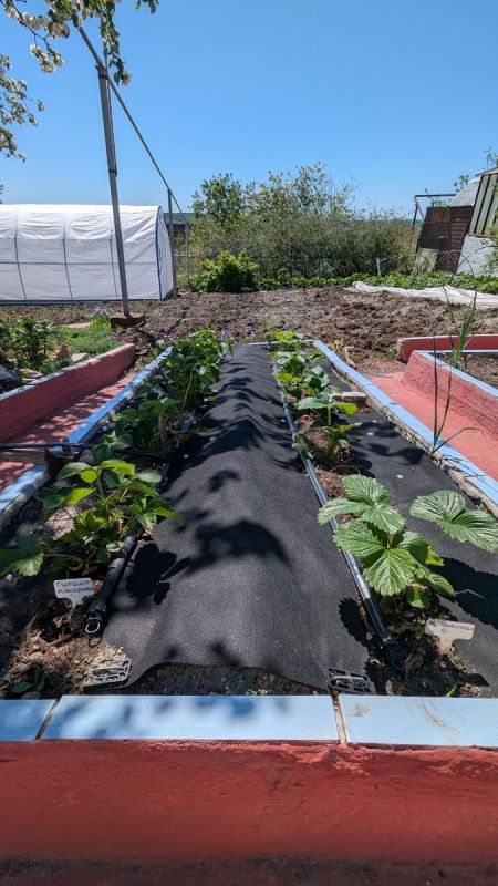 �������� ������ ���������: ����������� �� ������������ ������ �� ���� � �����������