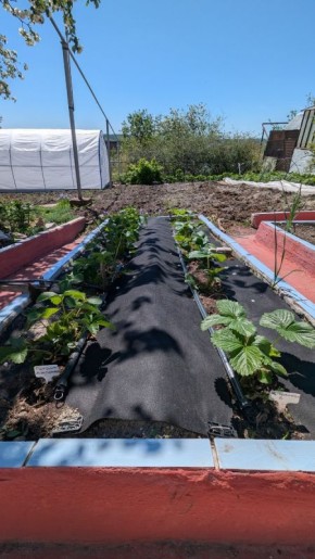 �������� ������ ���������: ����������� �� ������������ ������ �� ���� � �����������