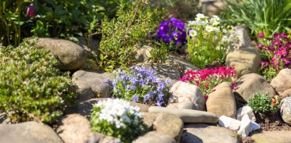 ������� ���������� ����������: ������, ������� ������ ��� �������