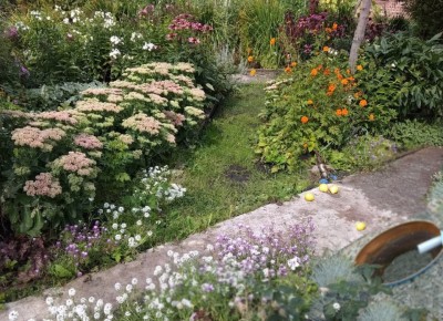 �������� ������������� �� ����