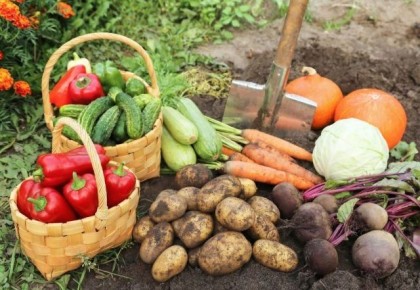 ��� �������������� ������ � ������: ����� ������� ��� ������ �����