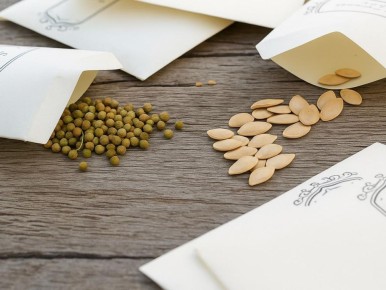 ������ ������ ����� � ����� ��������� ������