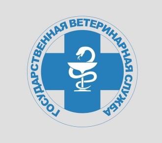 ���������� ����������� ���������-�������� �������� � ���������� �����