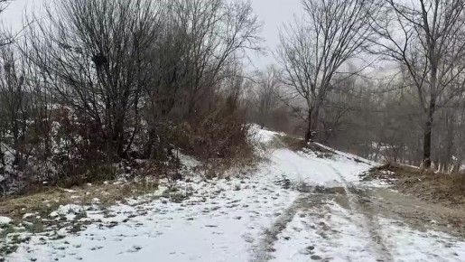 ������ ����� �������� ���������� �� 2-� ��������� �������, ��� ������� ���������-��������������� �������