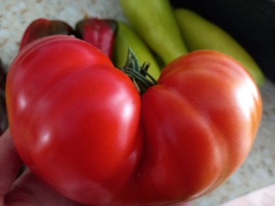 ������, �������� � ������: ��� ������� 2026 ���� ����������� � �������