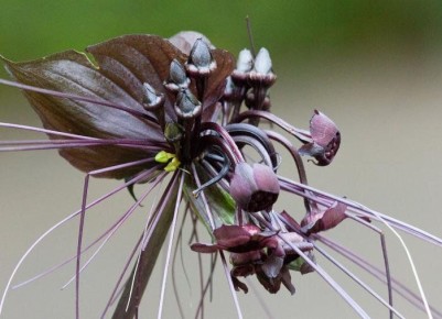 ������ ����������� �����: ��������� ��������� ������ ��� ������ ����